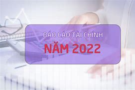 Báo Cáo Tài Chính Vna 2022